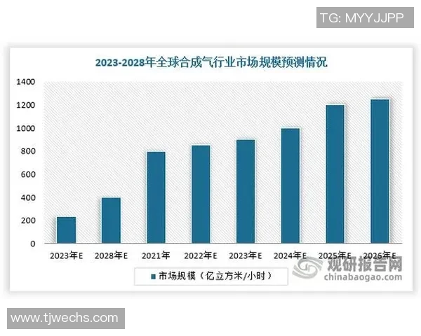 数据分析视角下LNG行业个人能力表现的全面评估与提升策略 数据分析视角下LNG行业个人能力表现的全面评估与提升策略