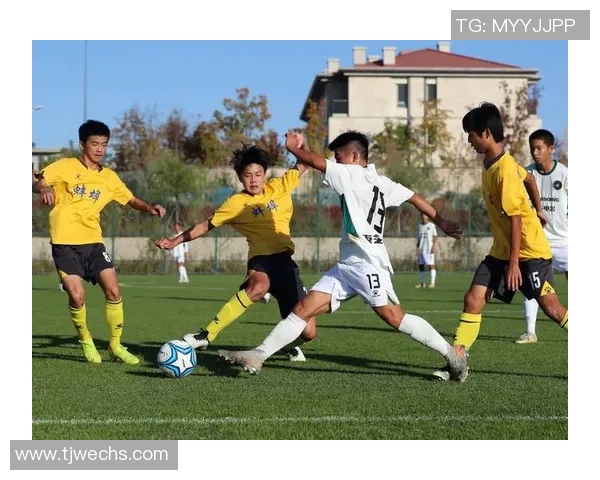 足球明星地位对职业生涯发展的影响与球迷文化的互动探讨